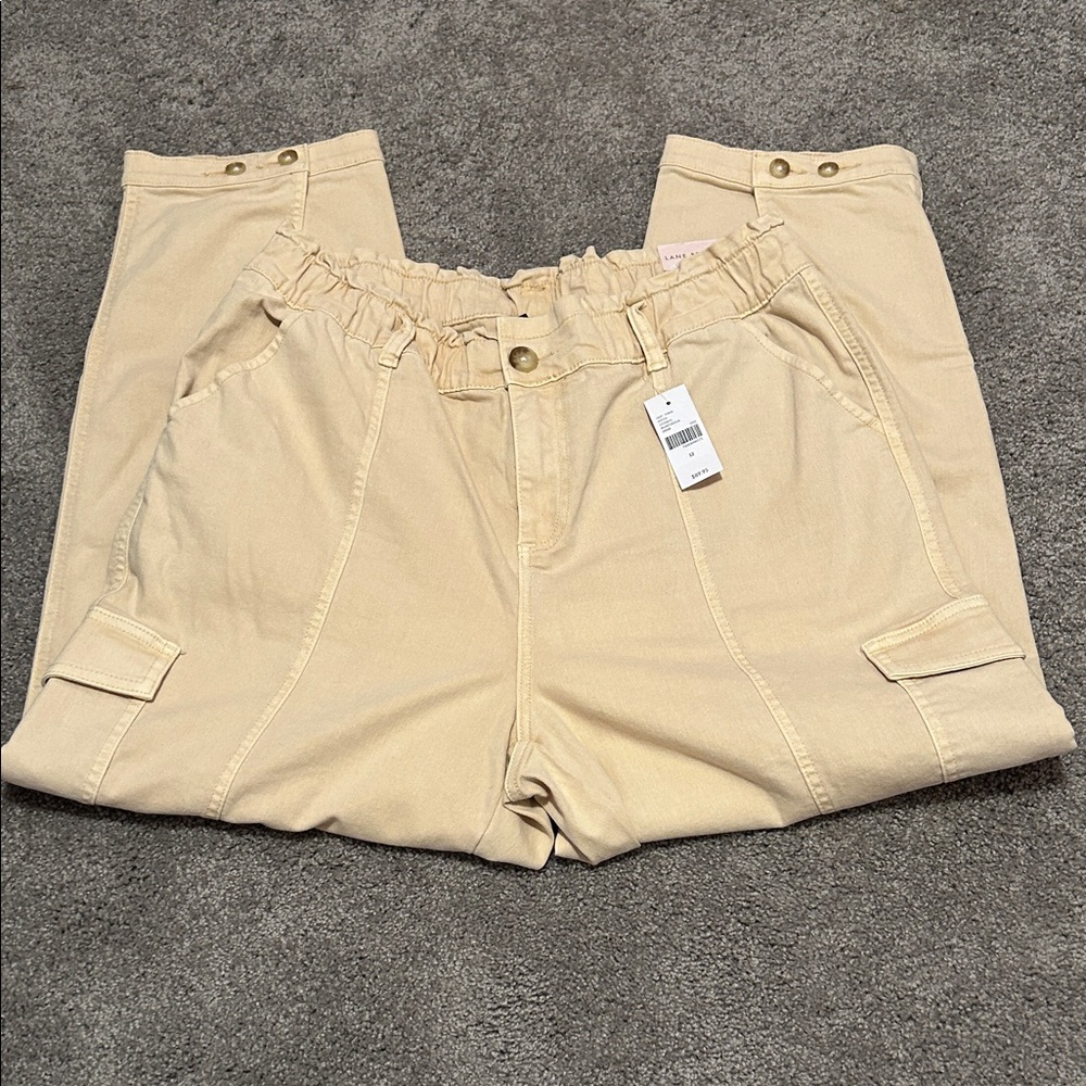 LANE BRYANT Cargo Pants - NWT